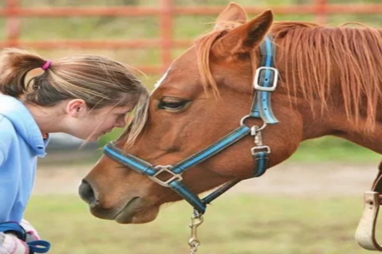 Understanding Equine Therapy for Teens
