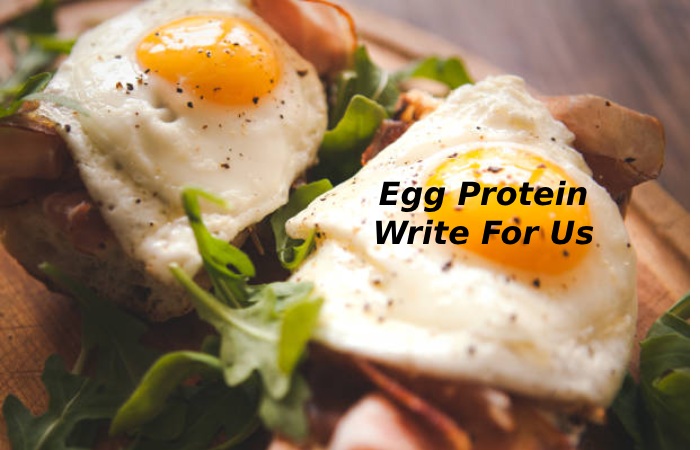 egg protien