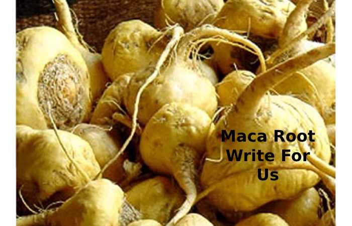 maca root