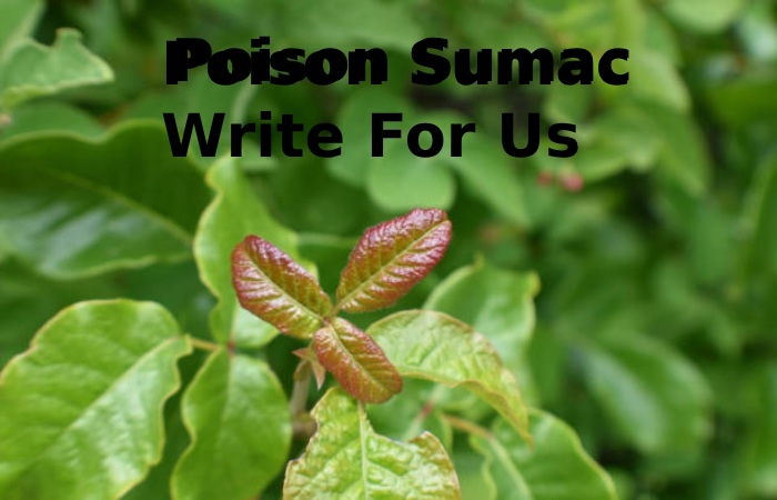 poison sumac write for us